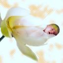 florescendo.jpg