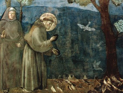 sao-francisco-prega-aos-animais.jpg
