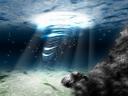 sea_the_light.jpg