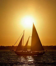 Liberdade ou Destino